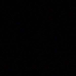 Meet your Posher, Maxwell